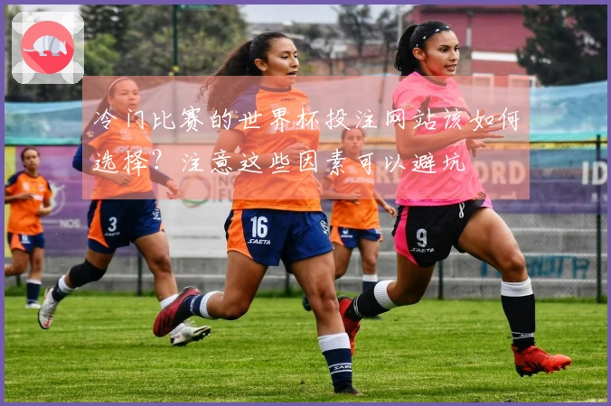 冷门比赛的世界杯投注网站该如何选择？注意这些因素可以避坑