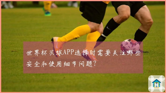 世界杯买球APP选择时需要关注哪些安全和使用细节问题？