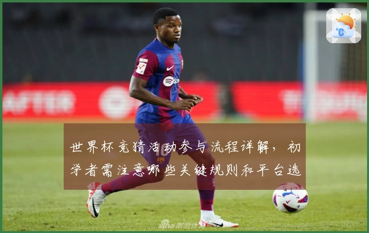 世界杯竞猜活动参与流程详解，初学者需注意哪些关键规则和平台选择？