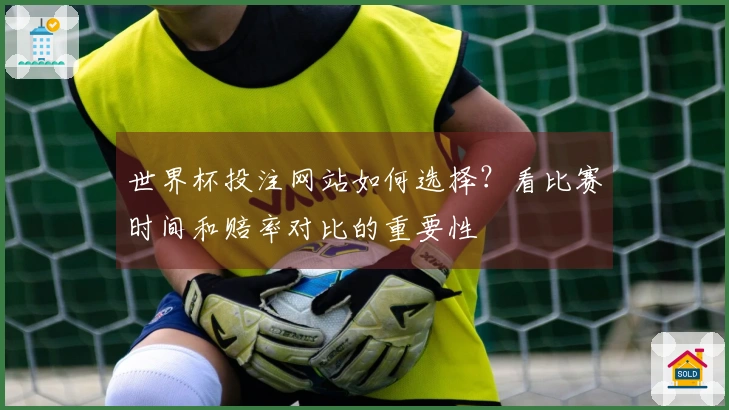 世界杯投注网站如何选择？看比赛时间和赔率对比的重要性