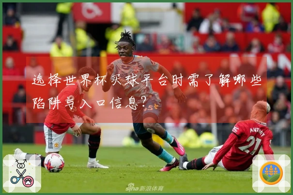 选择世界杯买球平台时需了解哪些陷阱与入口信息？