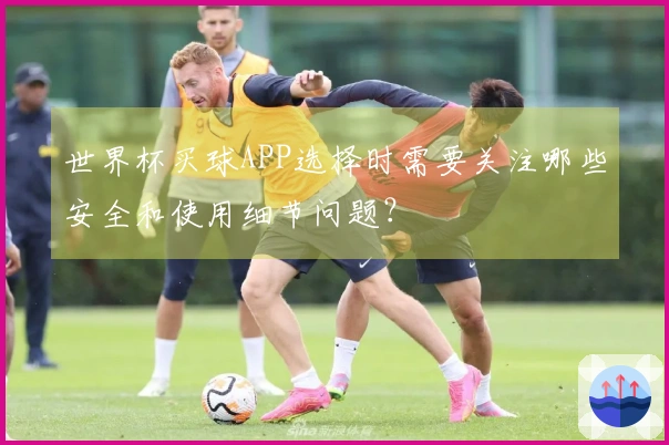世界杯买球APP选择时需要关注哪些安全和使用细节问题？