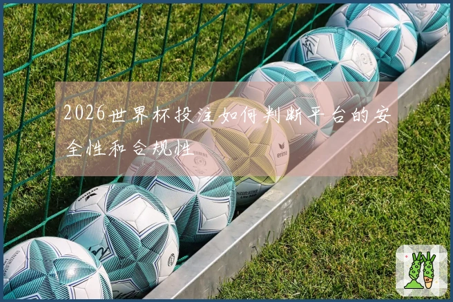 2026世界杯投注如何判断平台的安全性和合规性