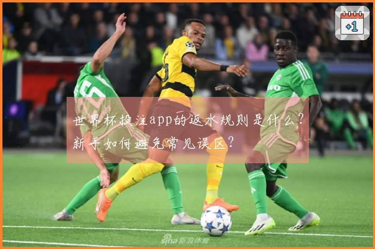 世界杯投注app的返水规则是什么？新手如何避免常见误区？