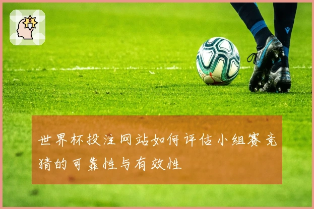 世界杯投注网站如何评估小组赛竞猜的可靠性与有效性
