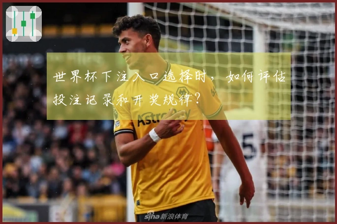 世界杯下注入口选择时，如何评估投注记录和开奖规律？