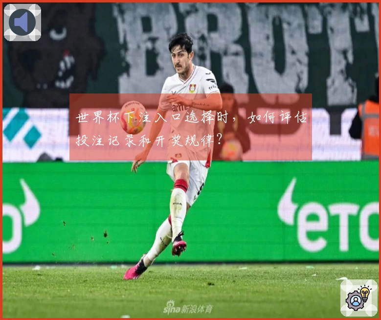世界杯下注入口选择时，如何评估投注记录和开奖规律？