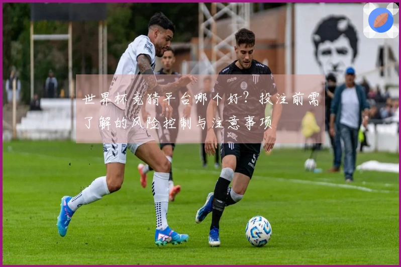 世界杯竞猜平台哪个好？投注前需了解的风险控制与注意事项