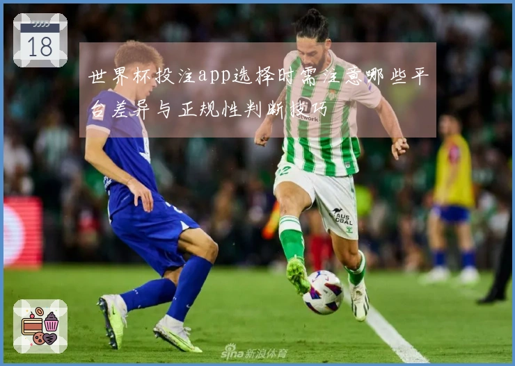 世界杯投注app选择时需注意哪些平台差异与正规性判断技巧