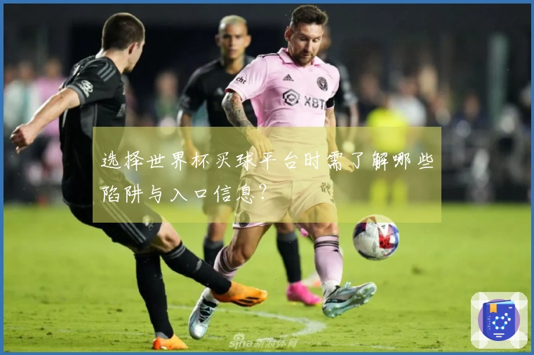 选择世界杯买球平台时需了解哪些陷阱与入口信息？