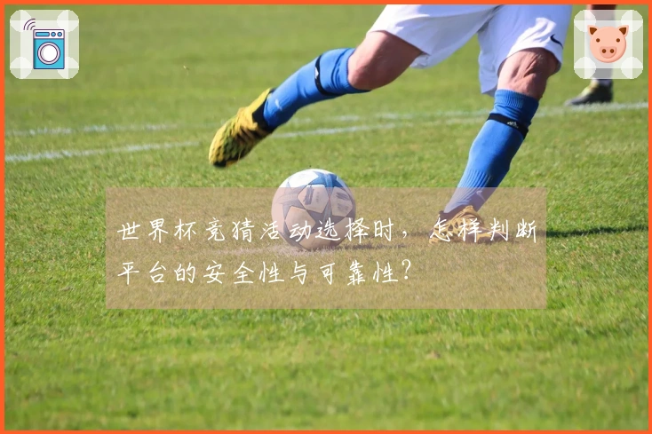 世界杯竞猜活动选择时，怎样判断平台的安全性与可靠性？