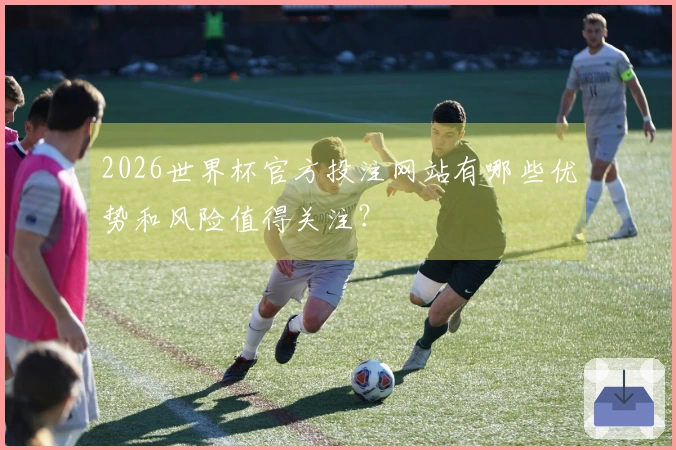 2026世界杯官方投注网站有哪些优势和风险值得关注？