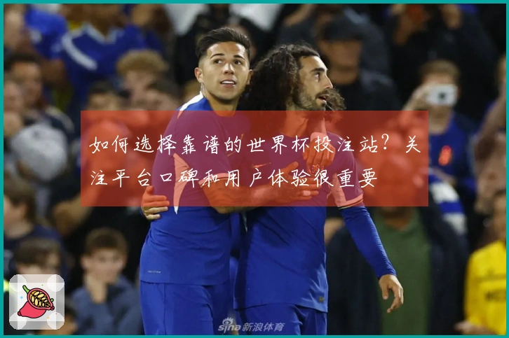 如何选择靠谱的世界杯投注站？关注平台口碑和用户体验很重要