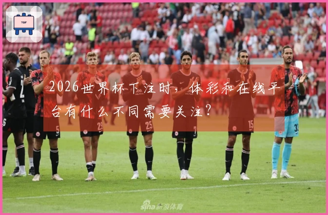 2026世界杯下注时，体彩和在线平台有什么不同需要关注？