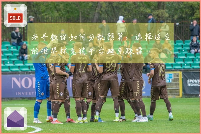 老手教你如何分配预算，选择适合的世界杯竞猜平台避免踩雷