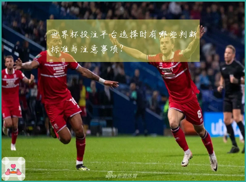 世界杯投注平台选择时有哪些判断标准与注意事项？