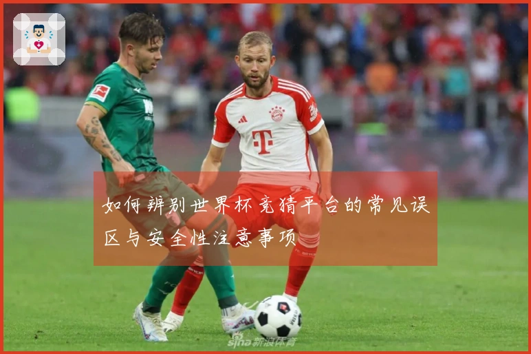 如何辨别世界杯竞猜平台的常见误区与安全性注意事项