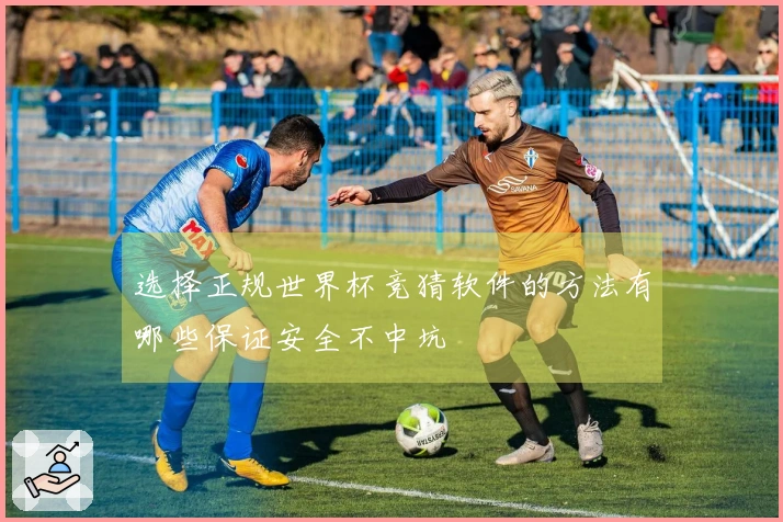 选择正规世界杯竞猜软件的方法有哪些保证安全不中坑