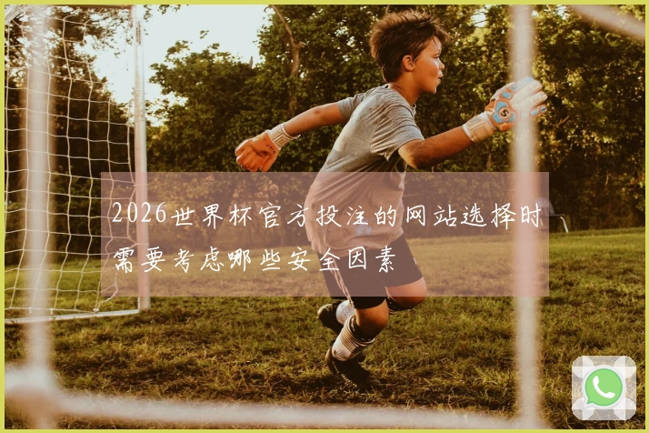 2026世界杯官方投注的网站选择时需要考虑哪些安全因素
