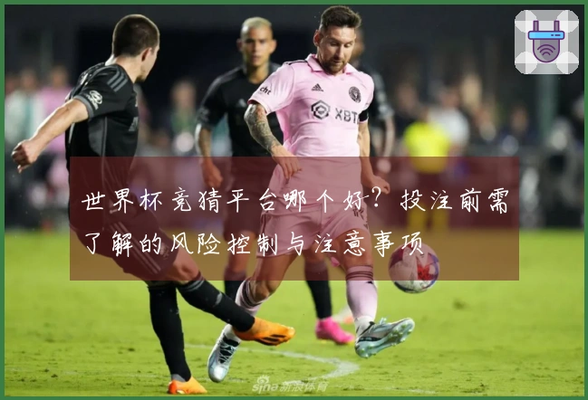 世界杯竞猜平台哪个好？投注前需了解的风险控制与注意事项